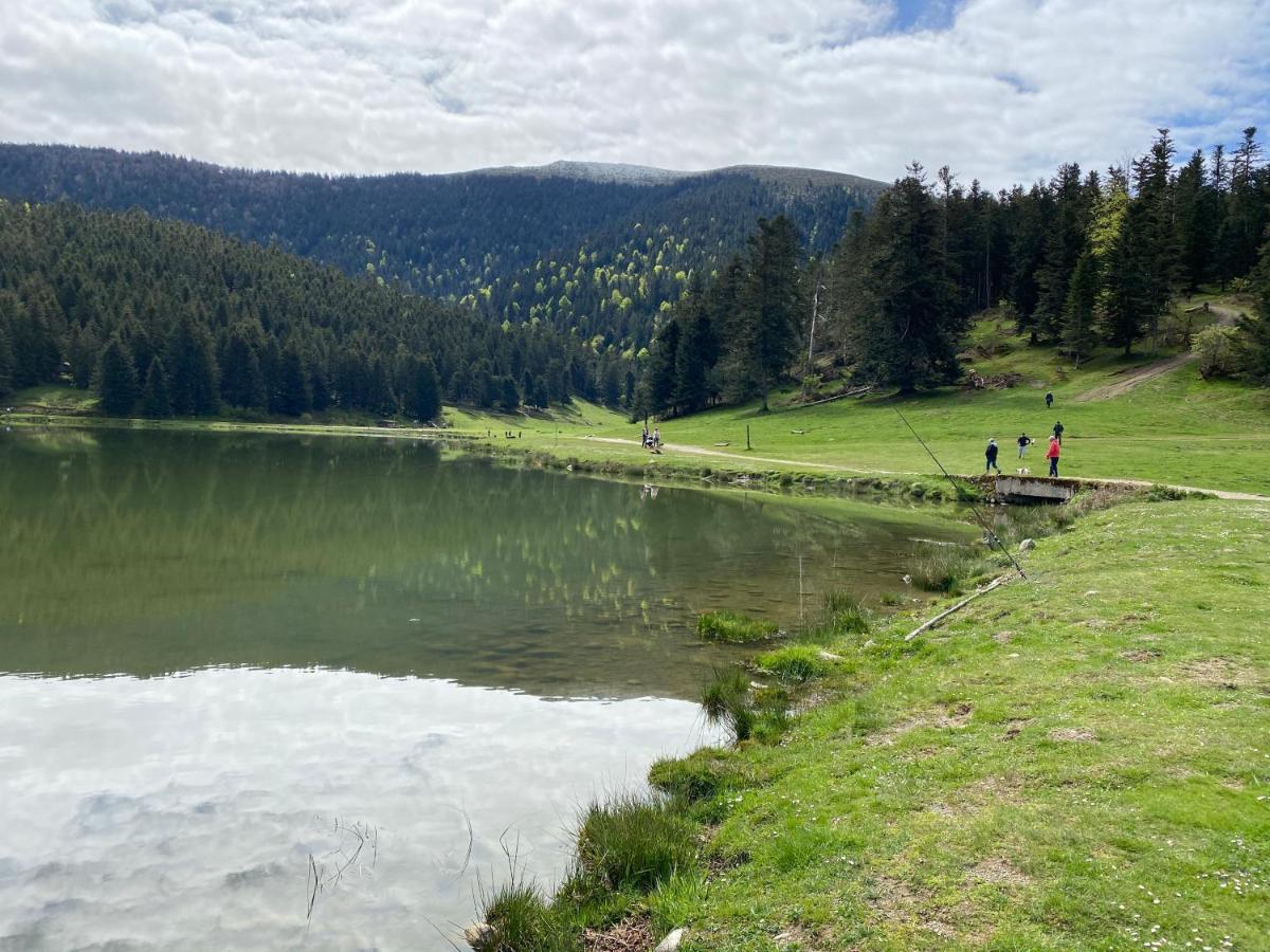 Gite Chaleureux Au Lac De Payolle Campan Exterior foto